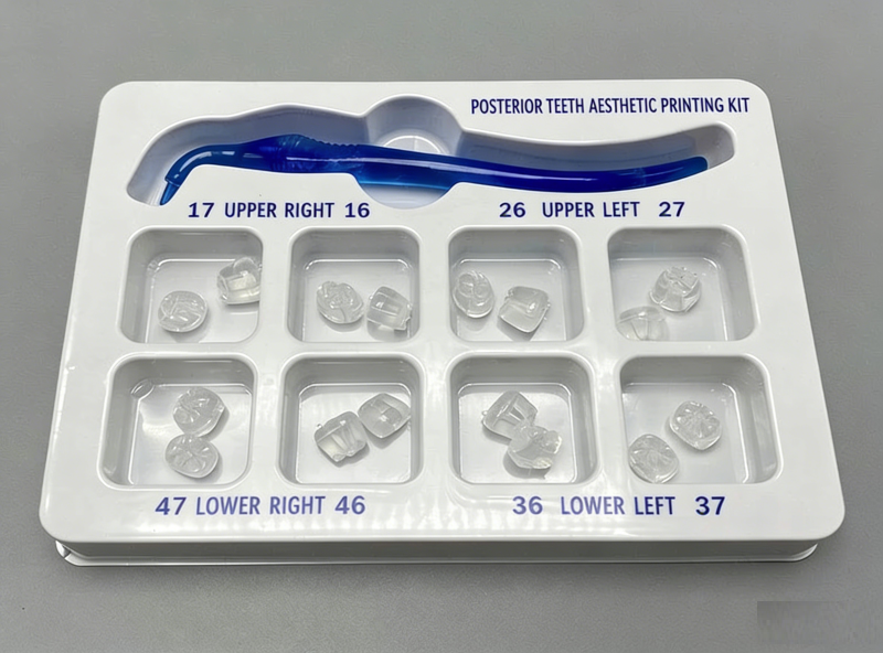 Dental Veneer Mould Kit Composite Resin Mold Light Cure Anterior Posterior Teeth