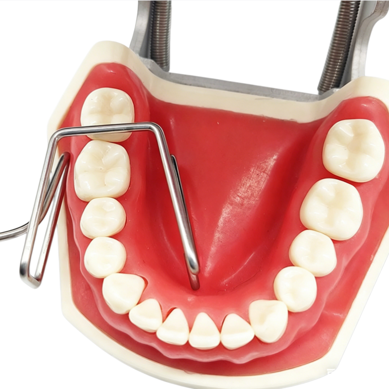 Dental Tongue Cheek Retractor Stainless Steel Autoclavable 135℃ Lingual Retractor