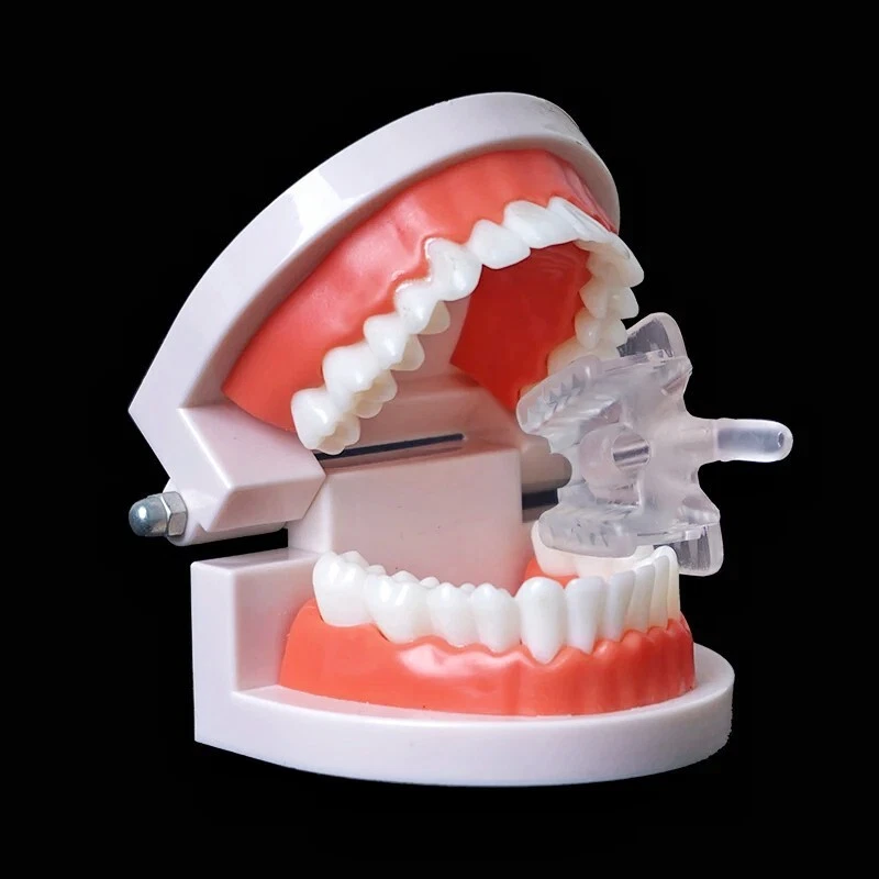 Dental Mouth Opener 10Pcs, Silicone Bite Block with Saliva Ejector Hole, Cheek Retractor Prop, L/S