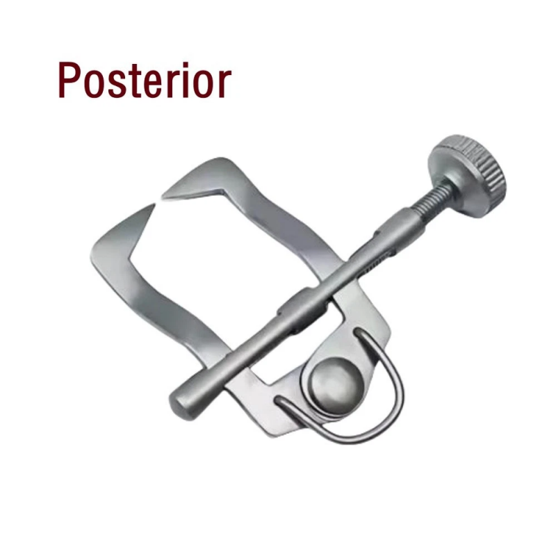 Dental Tooth Separator Divider Wedges Retainer for Anterior & Posterior, Orthodontic Restorative Matrix Tools