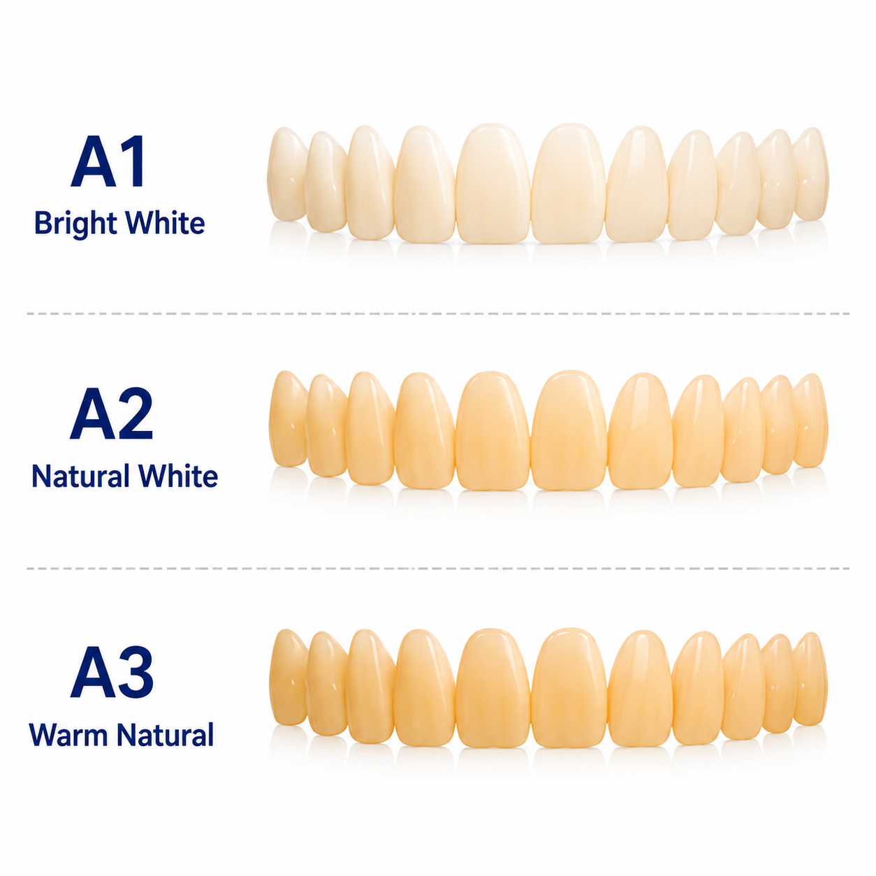 CAIYU Dental Acrylic Resin Teeth for DIY Dentures | False Teeth Shade A1 A2 A3 Upper Lower Row Replacement
