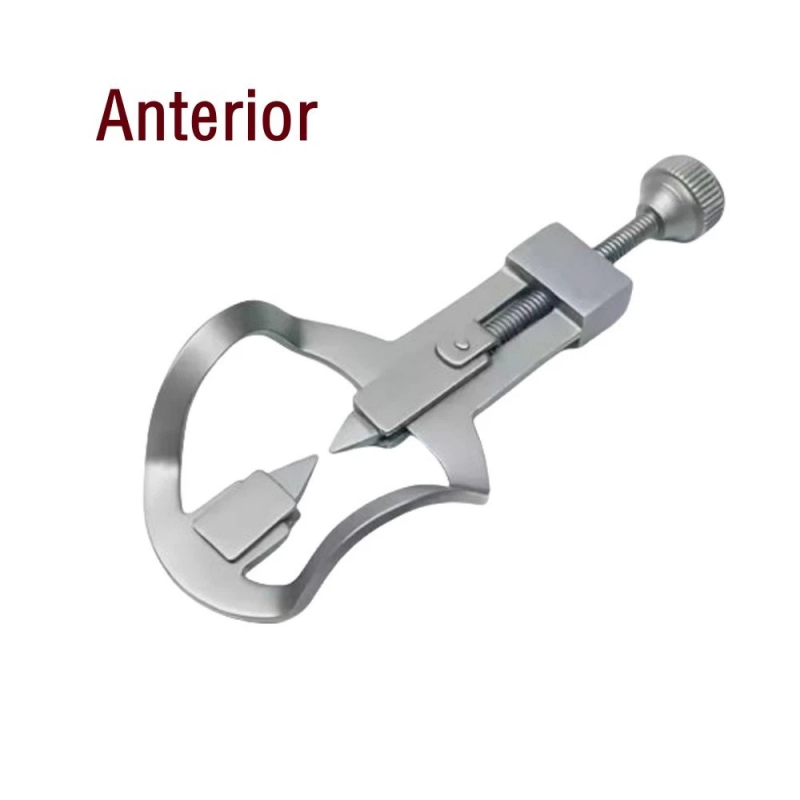 Dental Tooth Separator Divider Wedges Retainer for Anterior & Posterior, Orthodontic Restorative Matrix Tools
