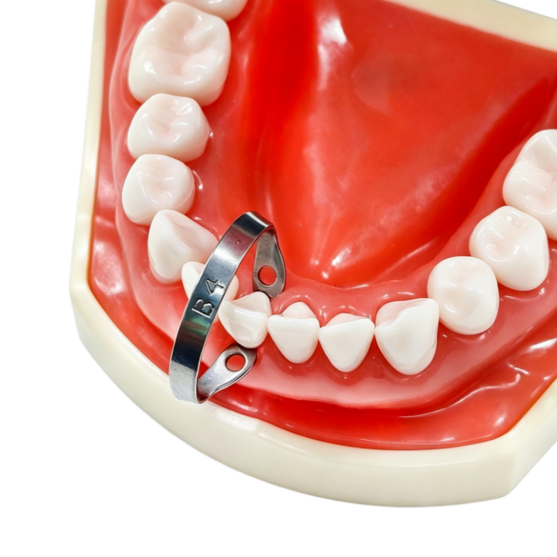 B4 Dental Rubber Dam Clamp Stainless Steel Anterior Teeth Retainer for Pediatric Dentistry