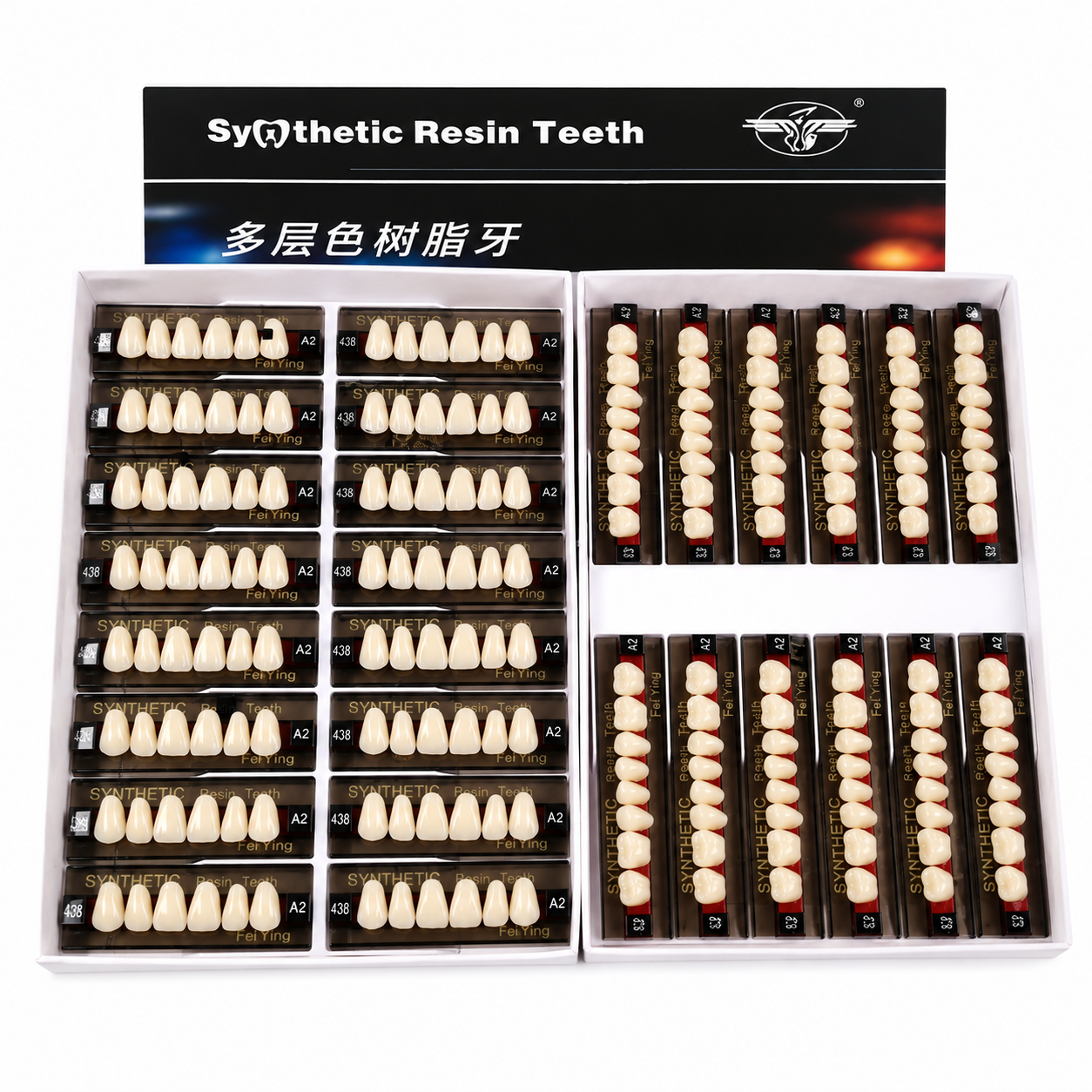 Dental Synthetic Resin Teeth for DIY Dentures | False Teeth Shade A1 A2 A3 Upper Lower Rows for Teeth Replacement