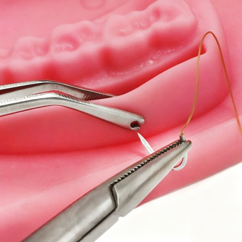 Dental Suture Forceps Stainless Steel Tissue Grasping Forceps for Implant Surgery Round and Square tip