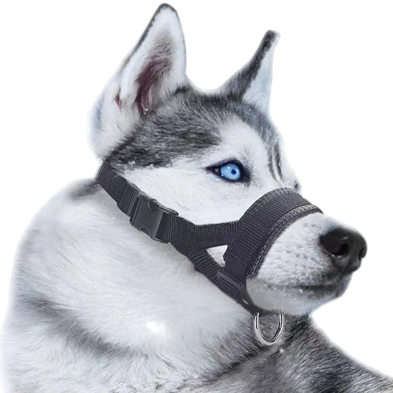 Dog wearing a black muzzle with color options displayed.