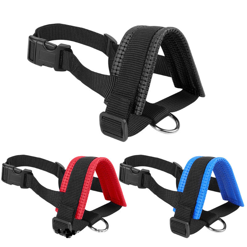 Three black dog harnesses with blue, red, and no additional color accents on a white background.
