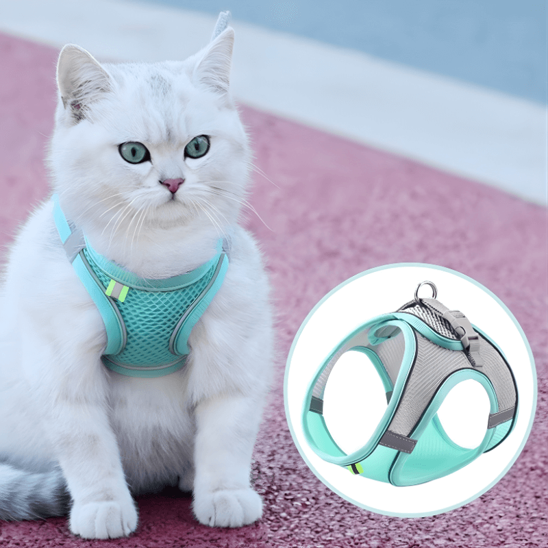 White cat wearing a turquoise cat harness on a pink surface with an inset showing the harness details.