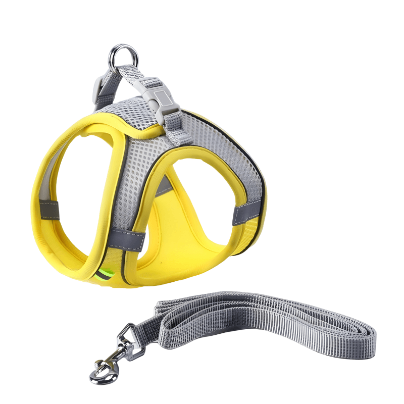 Cat harness and leash set with yellow front and gray back on a white background