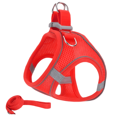 Red cat harness with reflective stripes on a white background