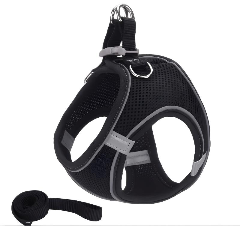 Black cat harness with reflective stripes on a white background