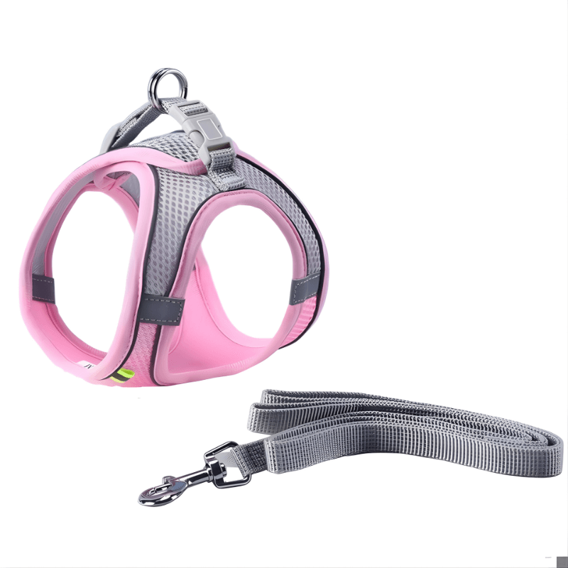Pink and gray cat harness with matching leash on a white background