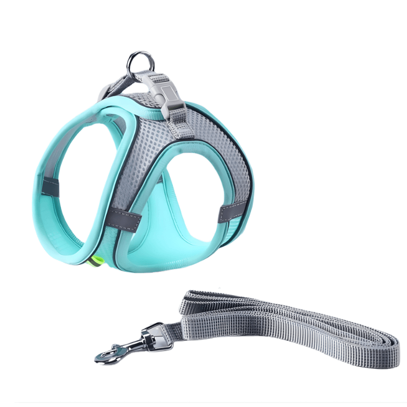 Pet harness and leash set with teal and gray design on a white background