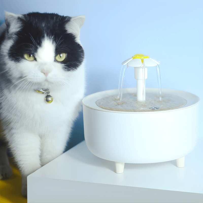 Cat sitting next to a pet water fountain on a light blue background