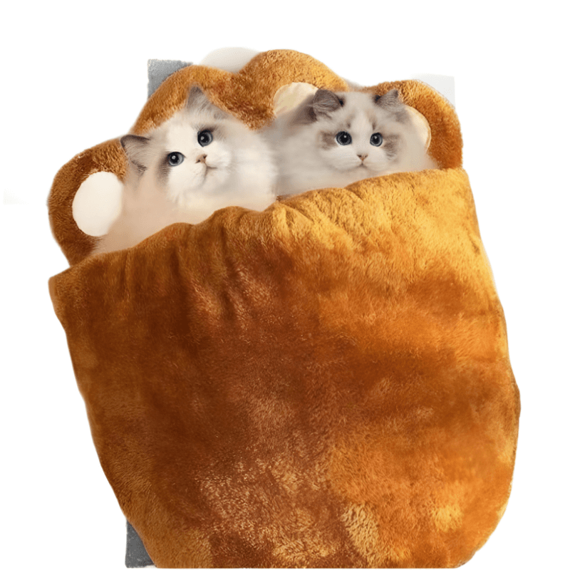 Two cats inside a plush brown bag with ears on a white background