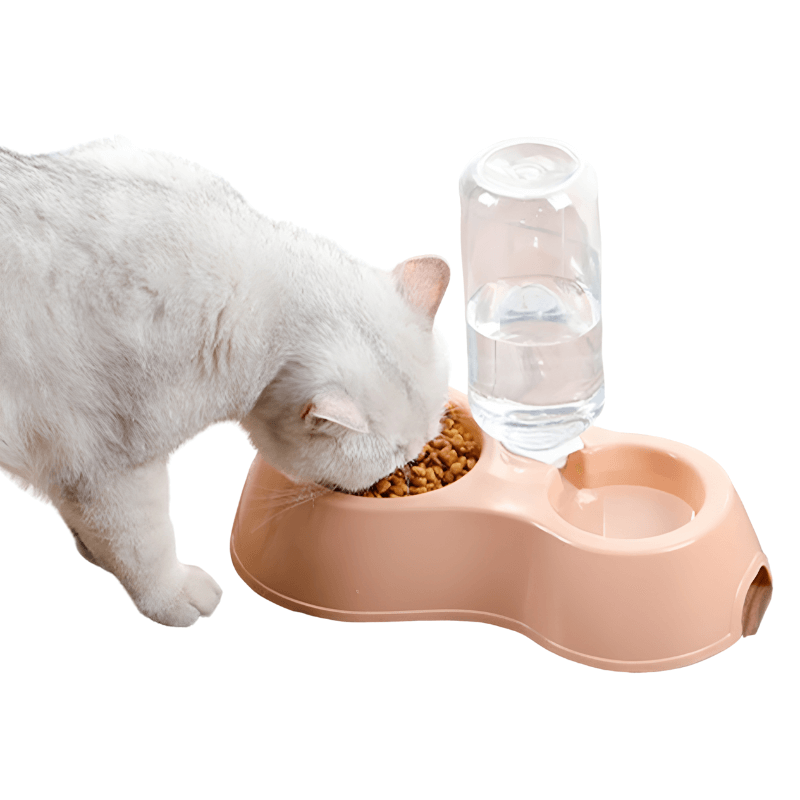 Cat eating from a pink pet feeder with a glass of water on a white background