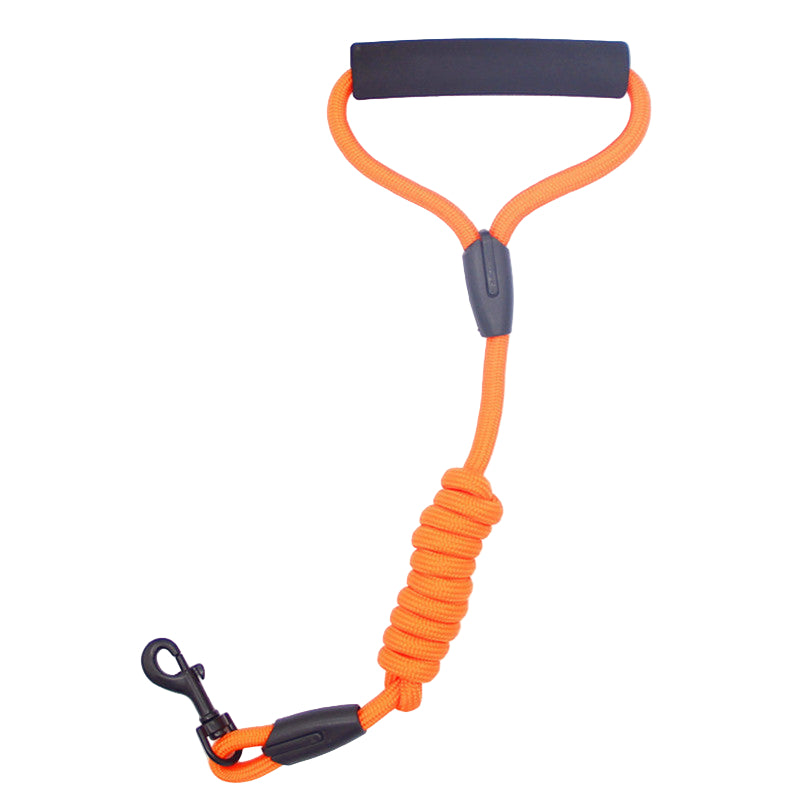 Orange leash with black handle and clip on a white background