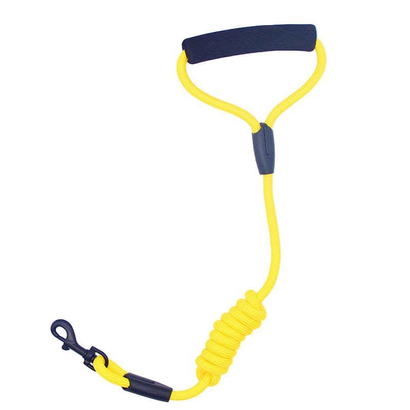 Yellow and blue dog leash on a white background