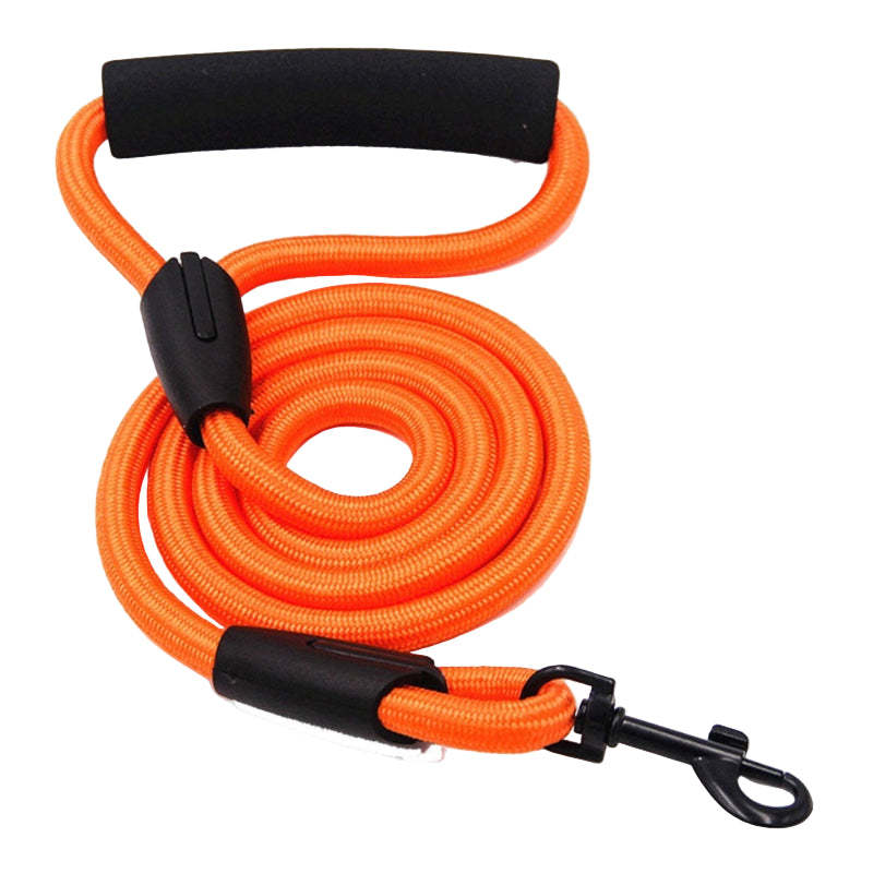 Orange dog leash with black handles and clip on a white background, with color swatches above.