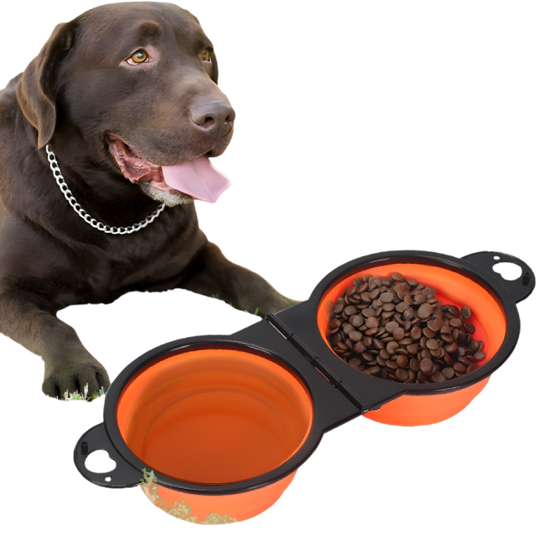 Folding Silicone Dual Pet Bowl with Carabiner Clip for Travel Use