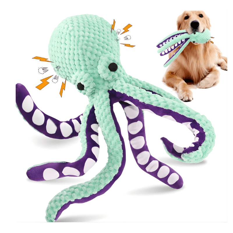 Dog playing with a green and purple octopus toy on a white background