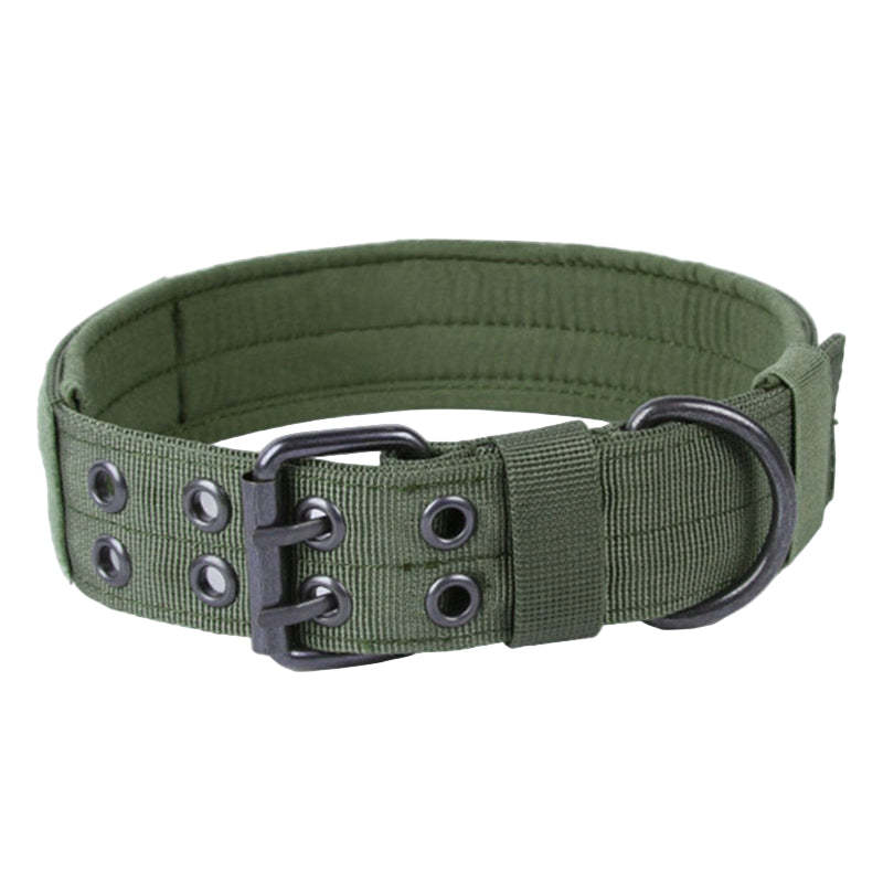 Green dog collar with black buckle on a white background