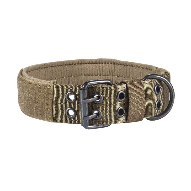 Brown dog collar with metal buckle on a white background