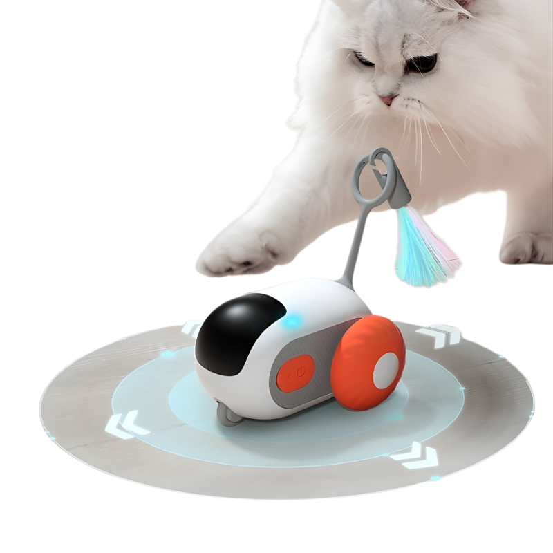 Cat playing with a robotic pet toy on a white background
