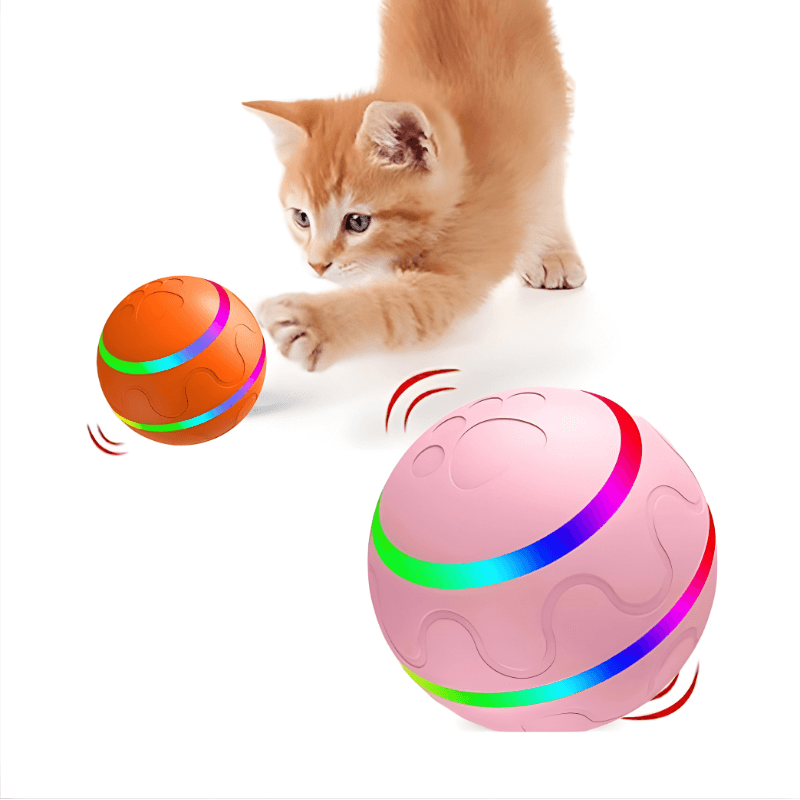 Cat playing with a colorful spinning ball toy on a white background