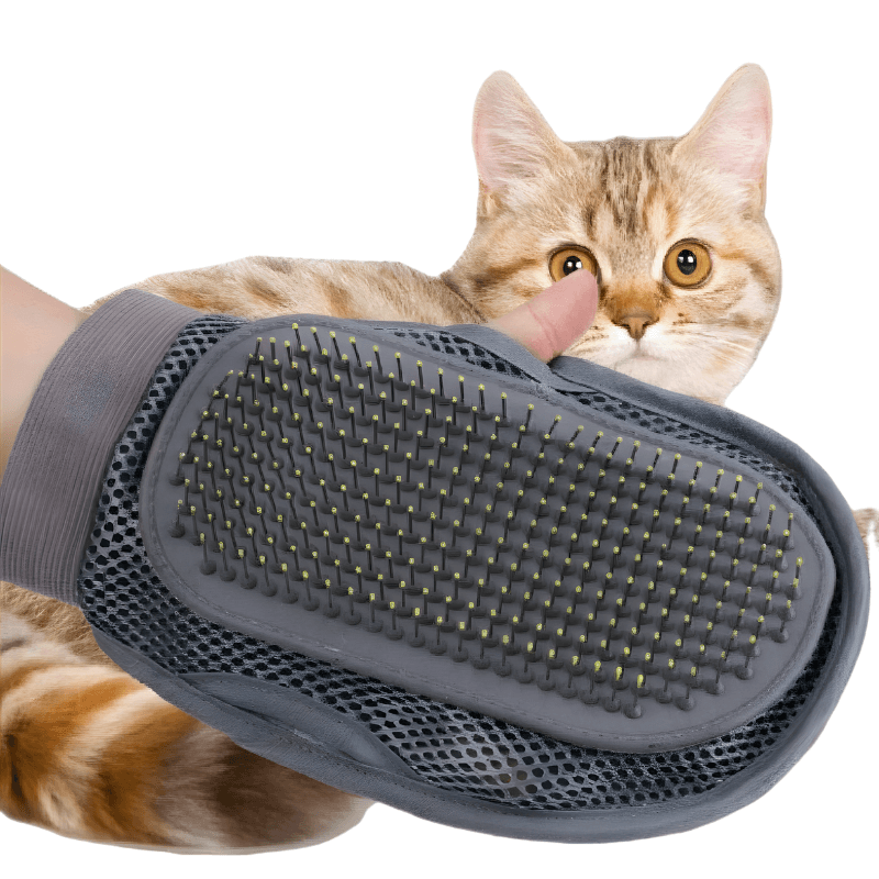 Cat using a grooming brush with a white background