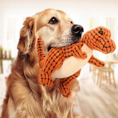 Dog playing with an orange plush toy indoors