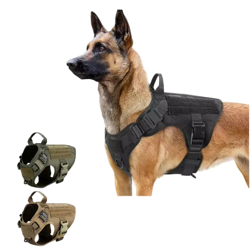 Dog wearing a tactical harness with three additional harnesses displayed below on a white background.