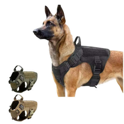 Dog wearing a tactical harness with three additional harnesses displayed below on a white background.