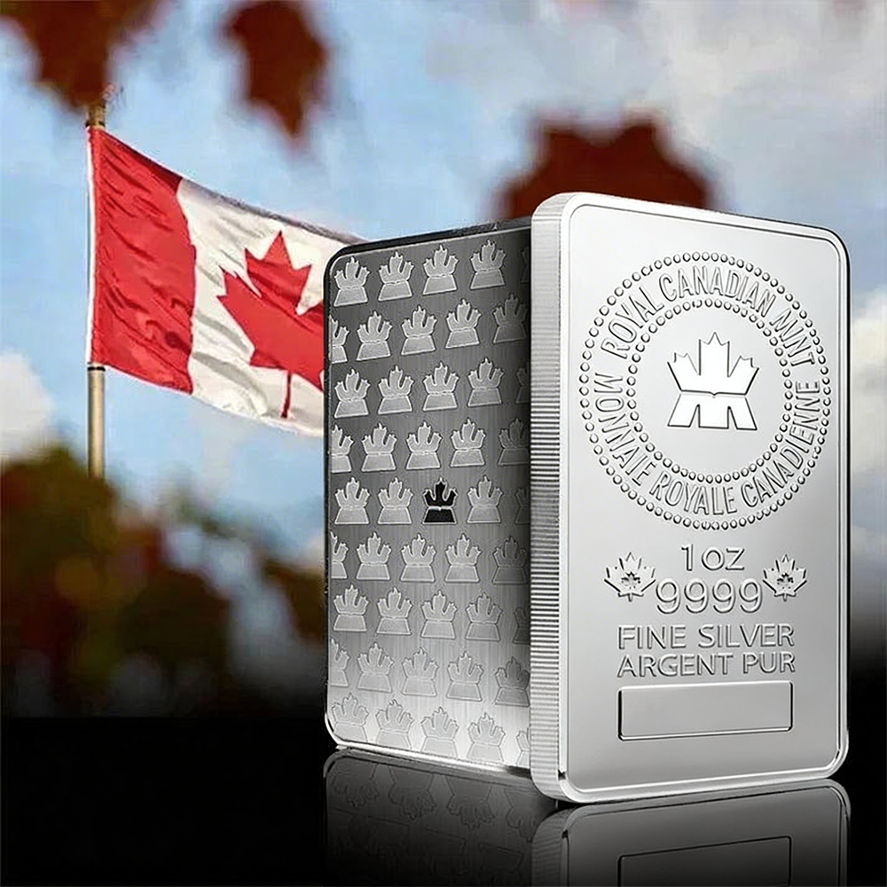 🔥Canada New Year Special🔥1 oz Commemorative Collectible Coin