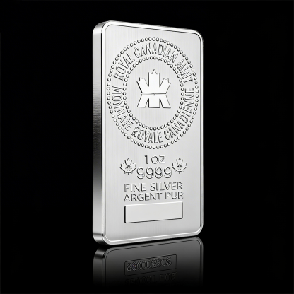 🔥Canada New Year Special🔥1 oz Commemorative Collectible Coin