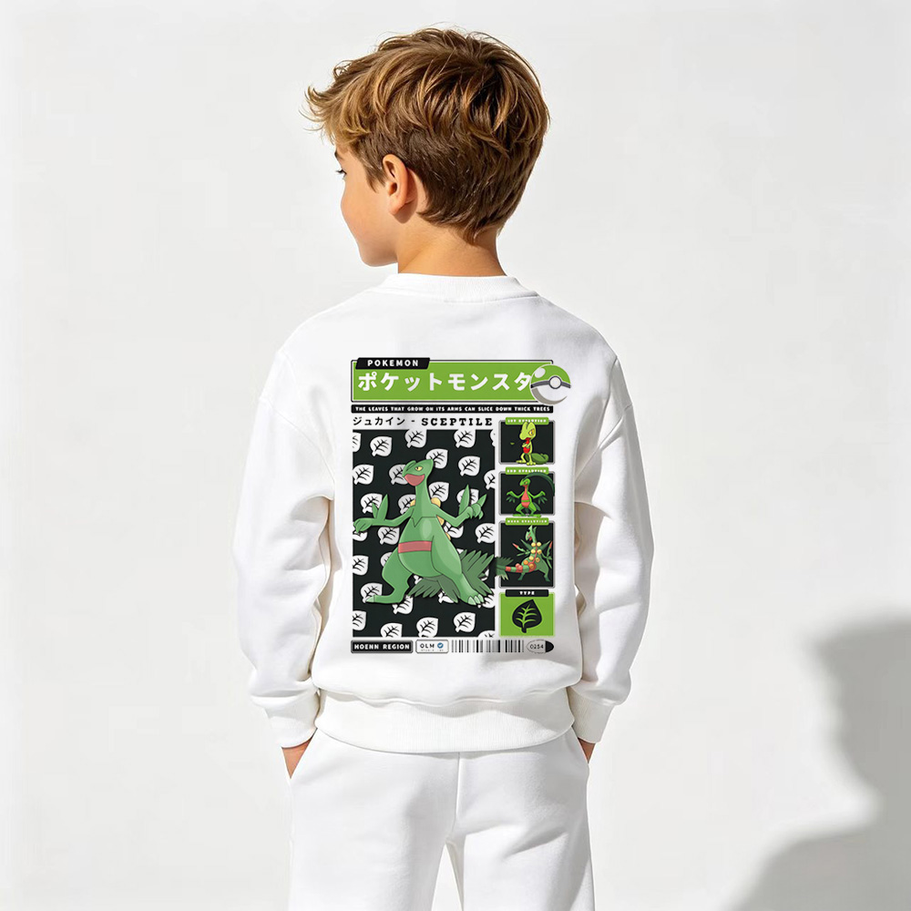 Pokémon Anime Graphic Crewneck Sweatshirt for Kids Cartoon Print Cotton Tee