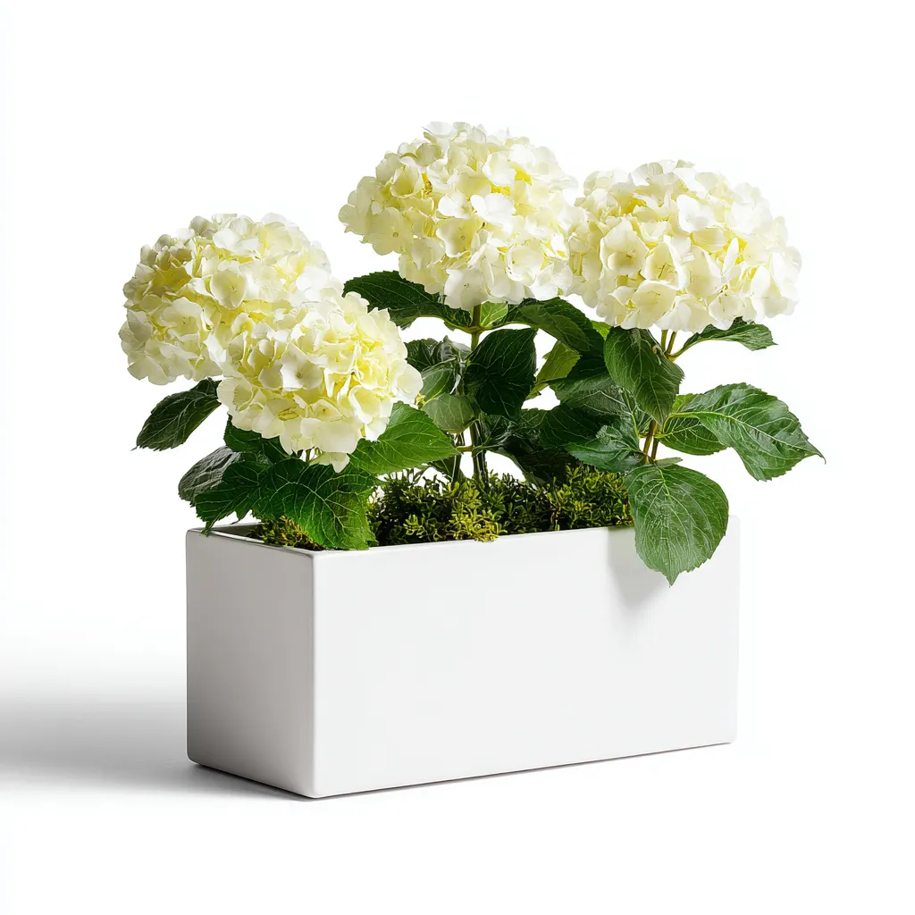 Vasi E Supporti Per Piante Fioriera Rettangolare In Ceramica 30X12X15 Cm - Bianco - Design Moderno-Oakuploft