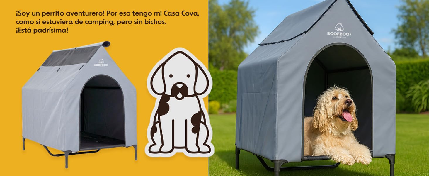 AMAZON ROOF - 2COVA 2