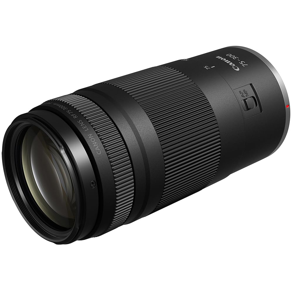 Canon EOS R100 - Kit de 2 lentes con doble zoom para cÃ¡mara RF-S de 18-45 mm + lentes RF de 75-300 mm 6052C111 paquete con kit de fotos Deco que incluye tarjeta de memoria Lexar Premium PRO Series