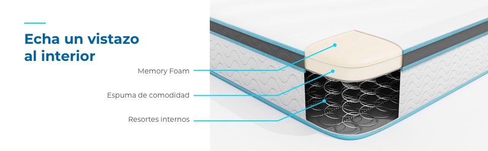 echa un vstazo al interior