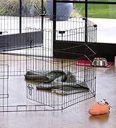 Amazon Basics Foldable Octagonal Metal Exercise Dog Playpen - Indoor/Outdoor, Single Door, Small ...