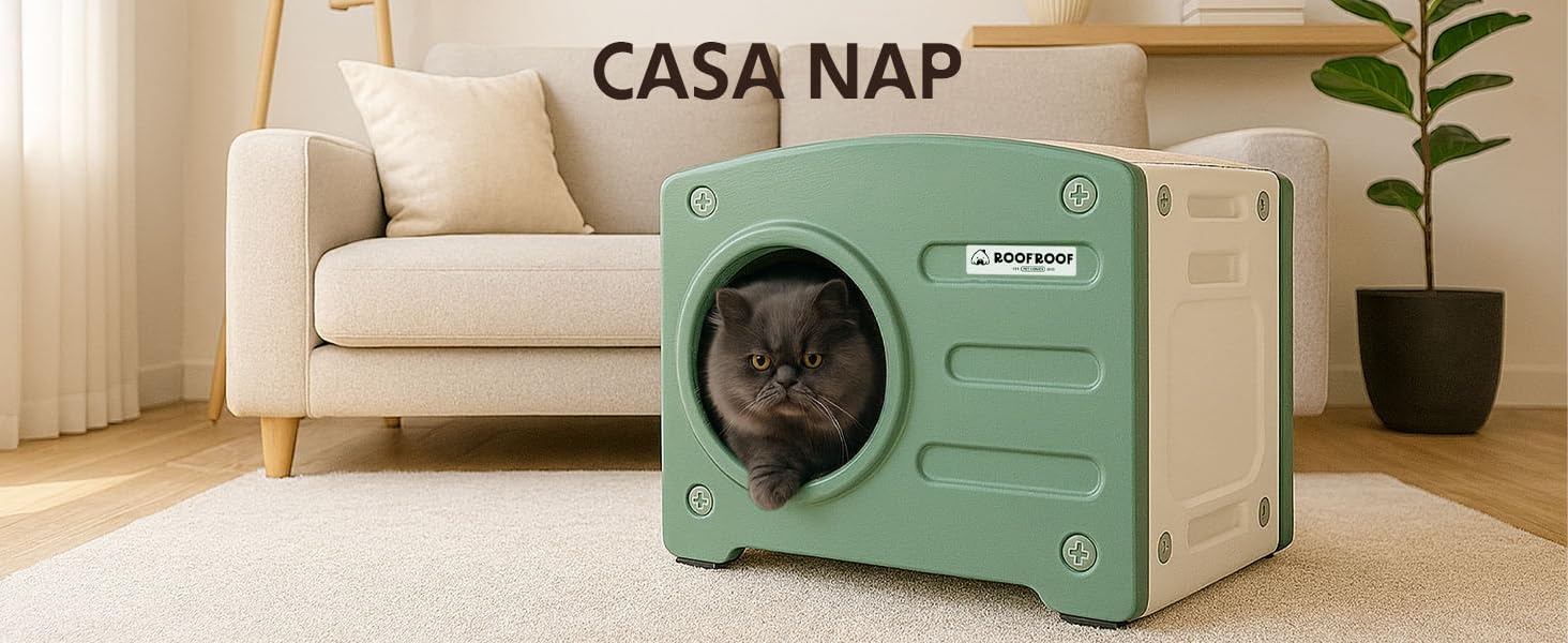 AMAZON ROOF - NAP 2