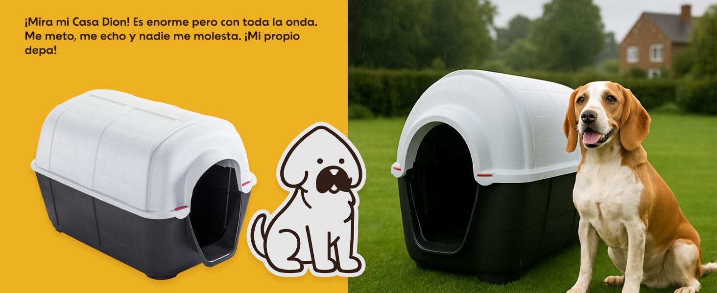 AMAZON ROOF MOVIL - 2DION 2