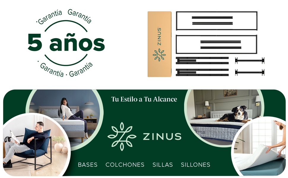Zinus