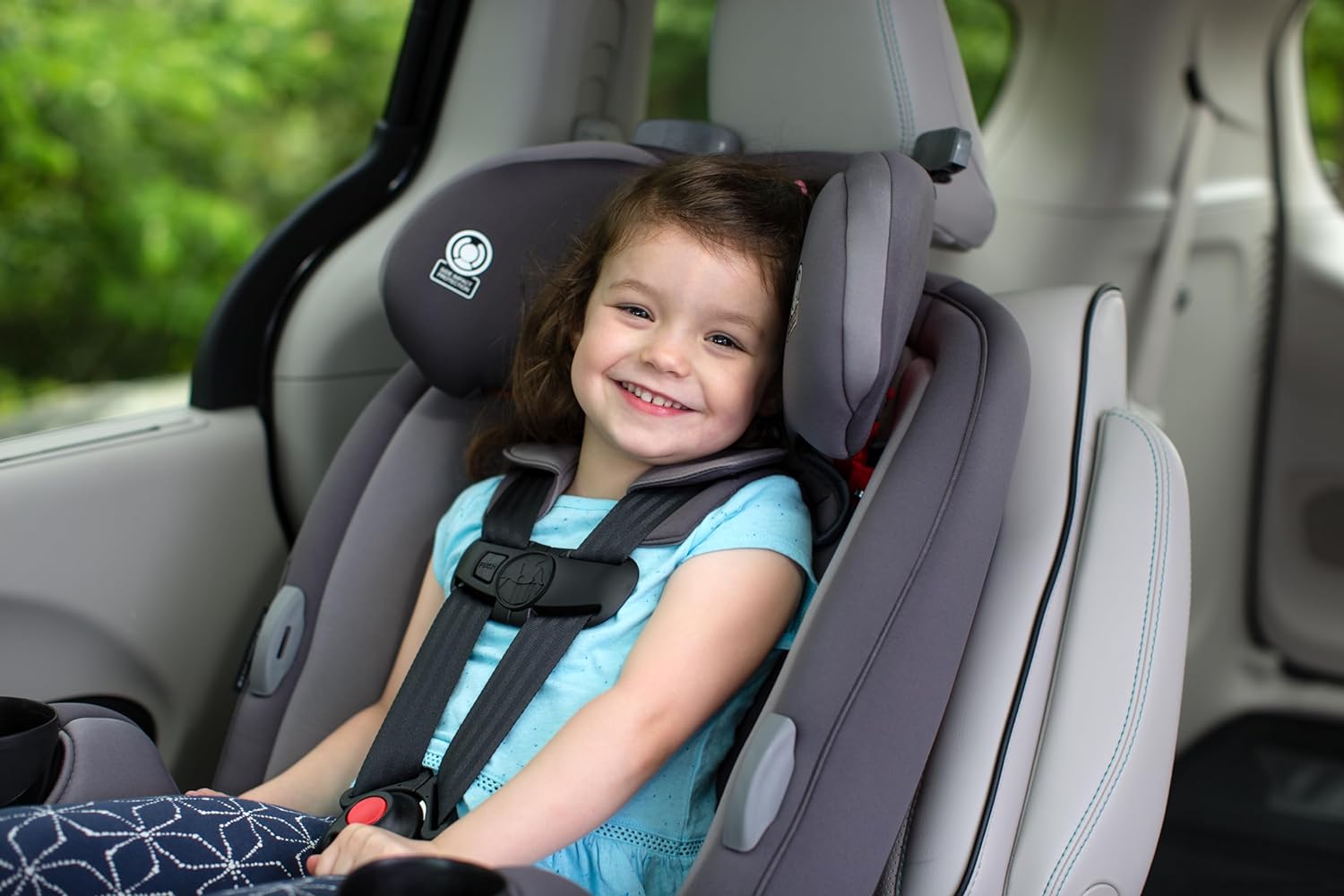 Safety 1st - Auto Asiento de coche Grow And Go 3 en 1, Carbon Rose