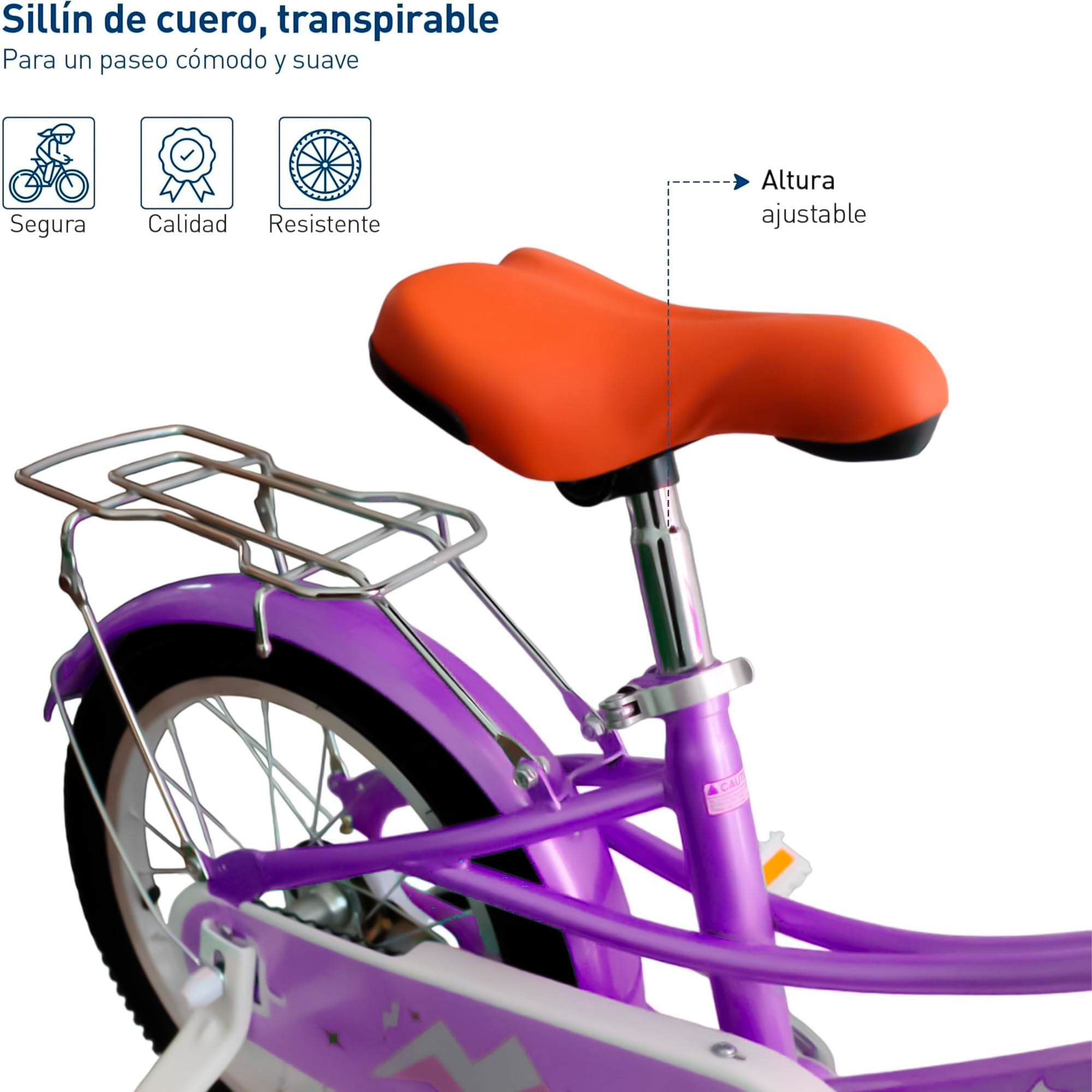 Bluelander Bicicleta Infantil para Niña, Rodada 16 con Ruedas de Entrenamiento, Canastilla, Parrilla Metalica y Salpicadera, Asiento y Manubrio Ajustable, Ideal para Niñas de 4 a 6 Años