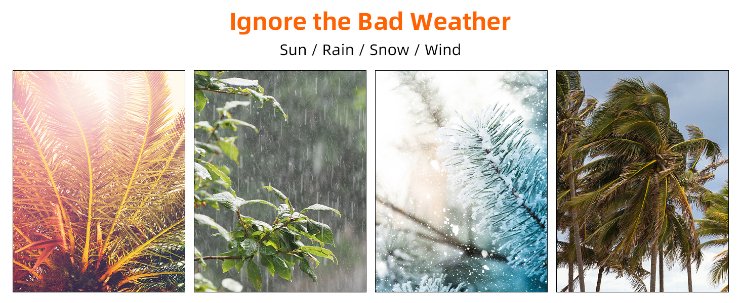 Wisfor perrera perro exterior