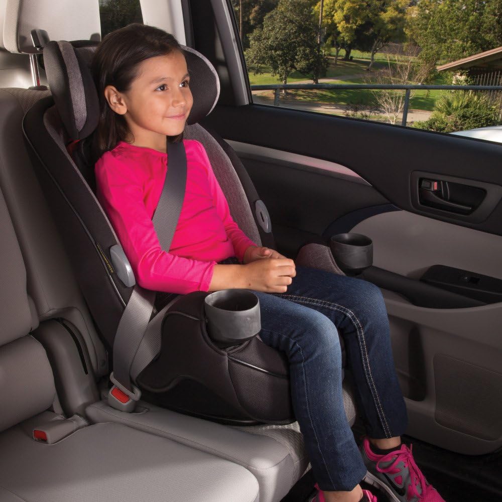 Safety 1st - Auto Asiento de coche Grow And Go 3 en 1, Carbon Rose