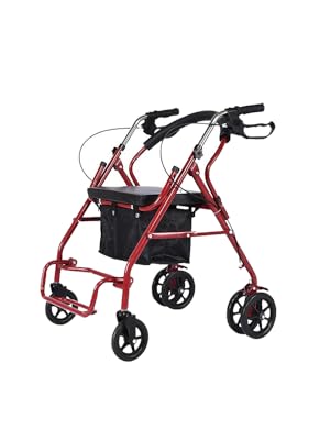 Rollator 2 en 1 Portatil Andafacil