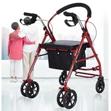 Rollator 2 en 1 Portatil Andafacil